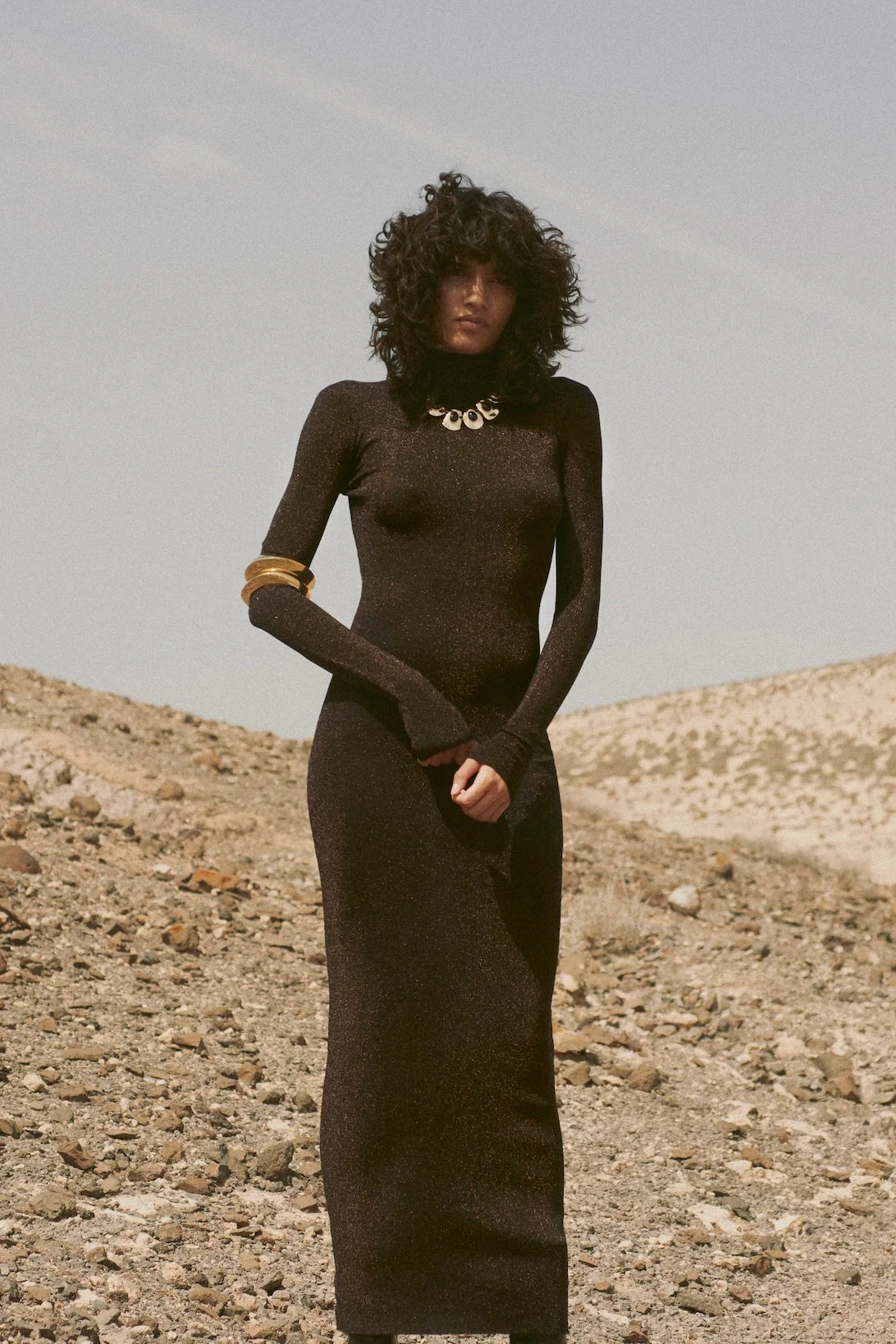 Shimmer Mockneck Dress (Black)