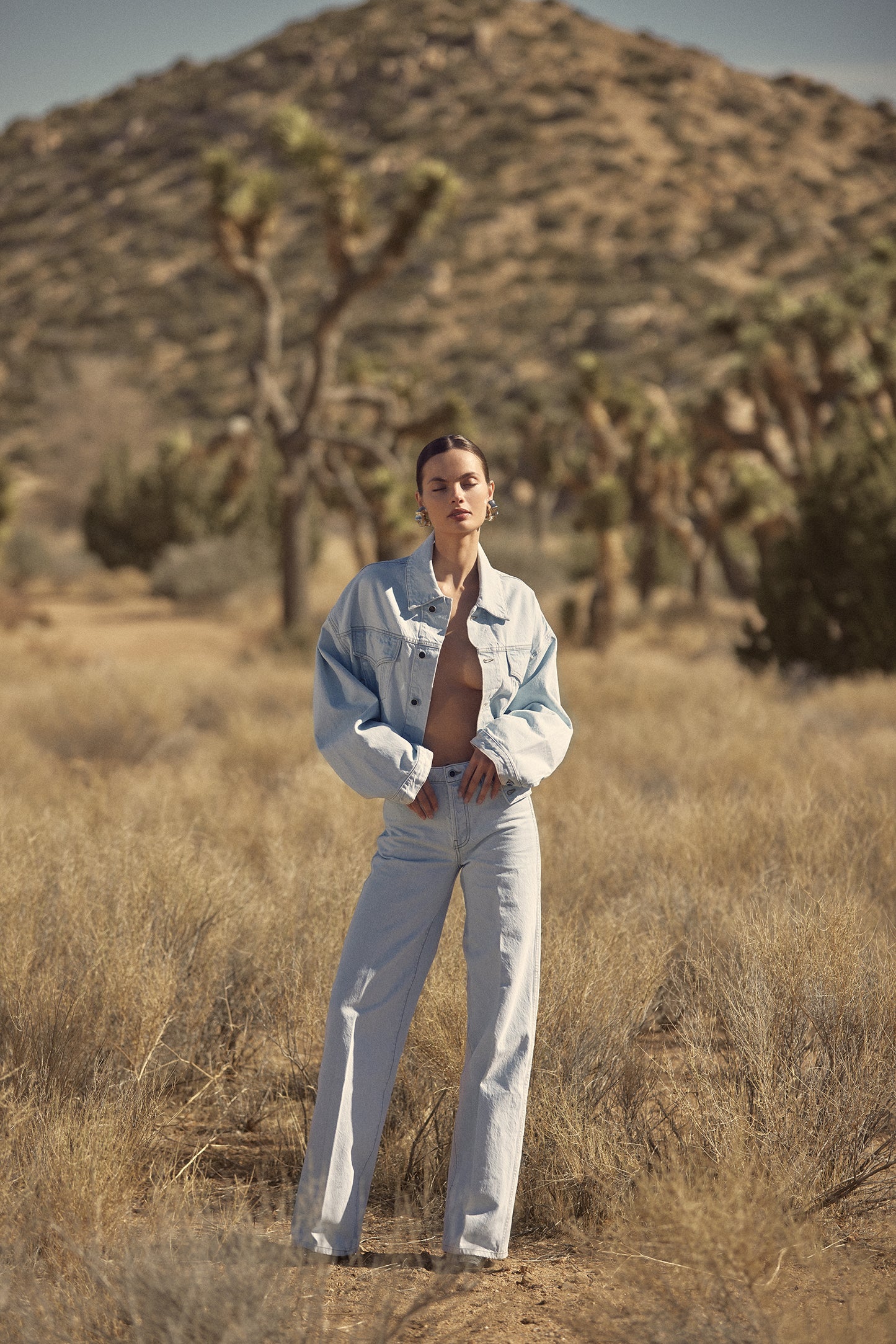The Wide Leg Jean (Vintage Light)